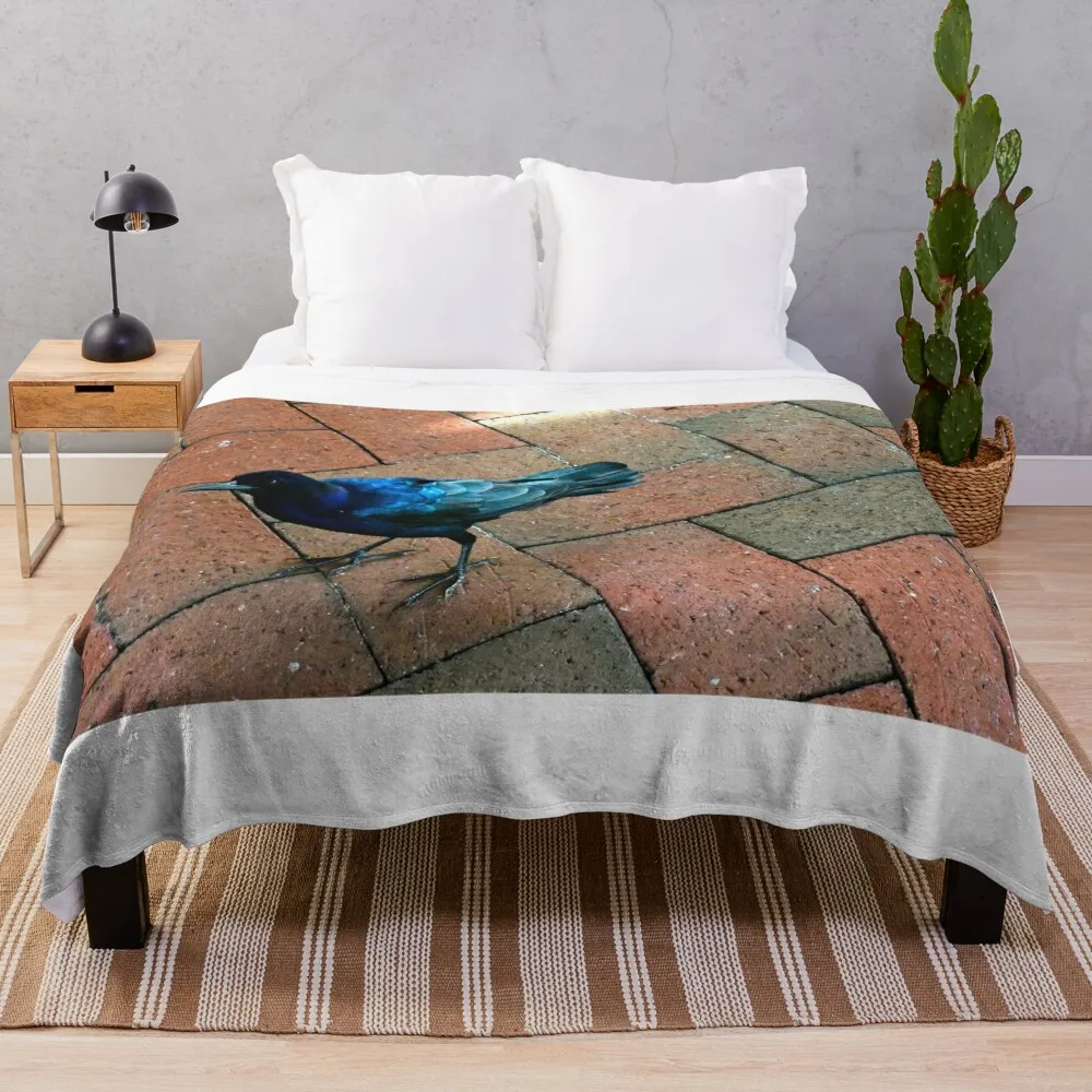 

Boat-Tailed Grackle Throw Blanket Single for sofa Blankets