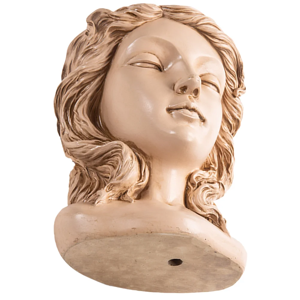 

Artistic Resin Flowerpot for Succulents Small Indoor Planter Container Decorative Cactus Pot Creative Design Home Office