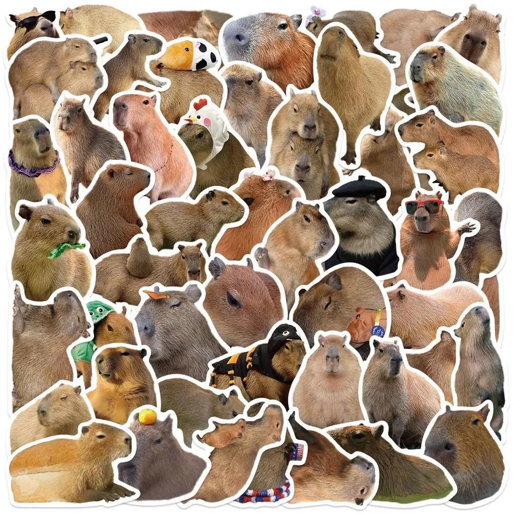 50 Stück Cartoon-Capybara-Graffiti-Aufkleber – wasserfeste Dekoration für Gitarren, Notebooks und GepäckaufnahmenYourLife Store