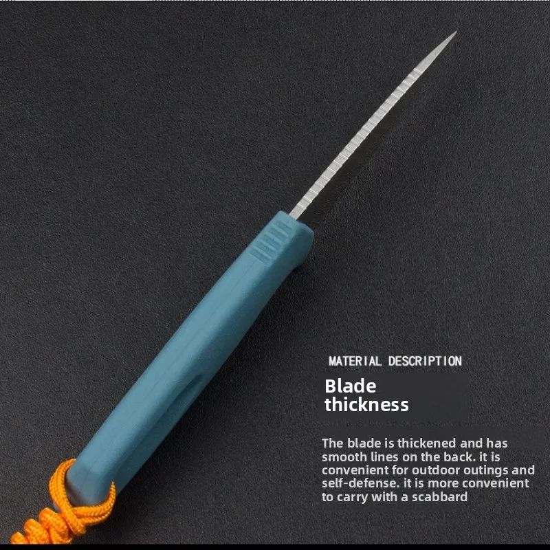 2025 New Outdoor Small Straight Knife EDC Multi-Function Knife Pocket Knife Camping Survival  Fishing - view 5