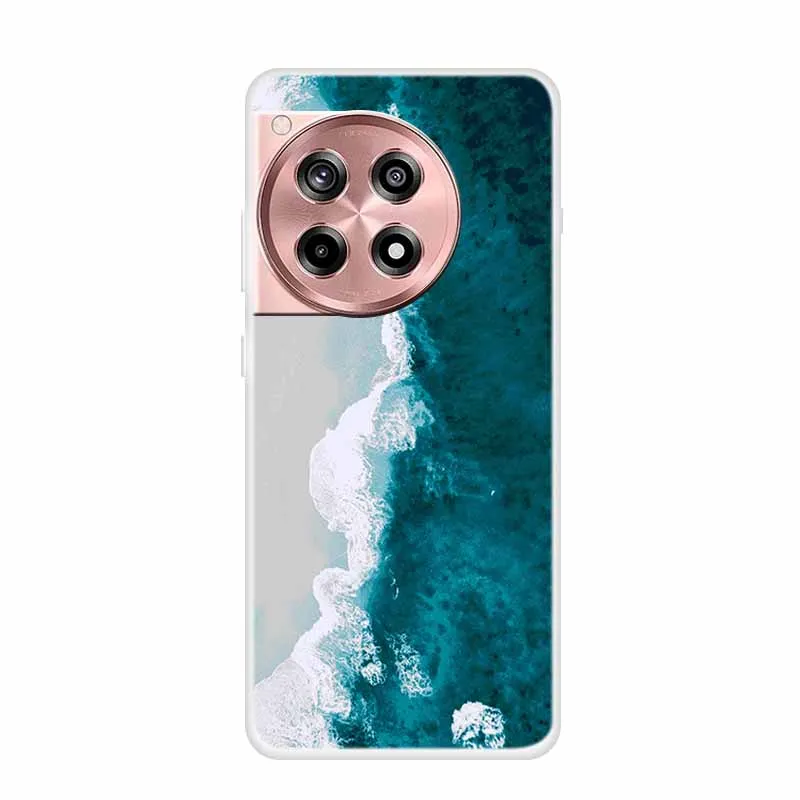 غلاف شفاف لـ OnePlus ، واقي فاخر ، غطاء هاتف من السيليكون الناعم ، لون شفاف ، Ace 3 ، 12 ، 12R #2