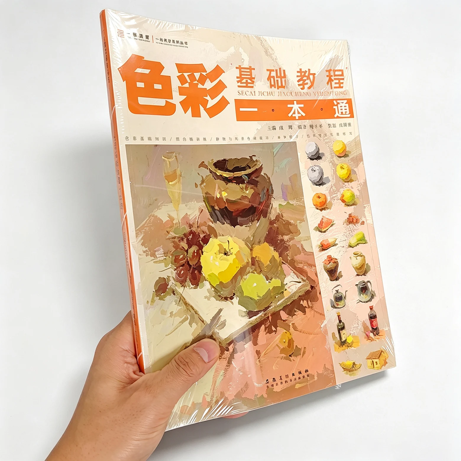 Basic Color Tutorial Book Black And White Tone Copying Of Gouache Paintings By Bao Dongdong