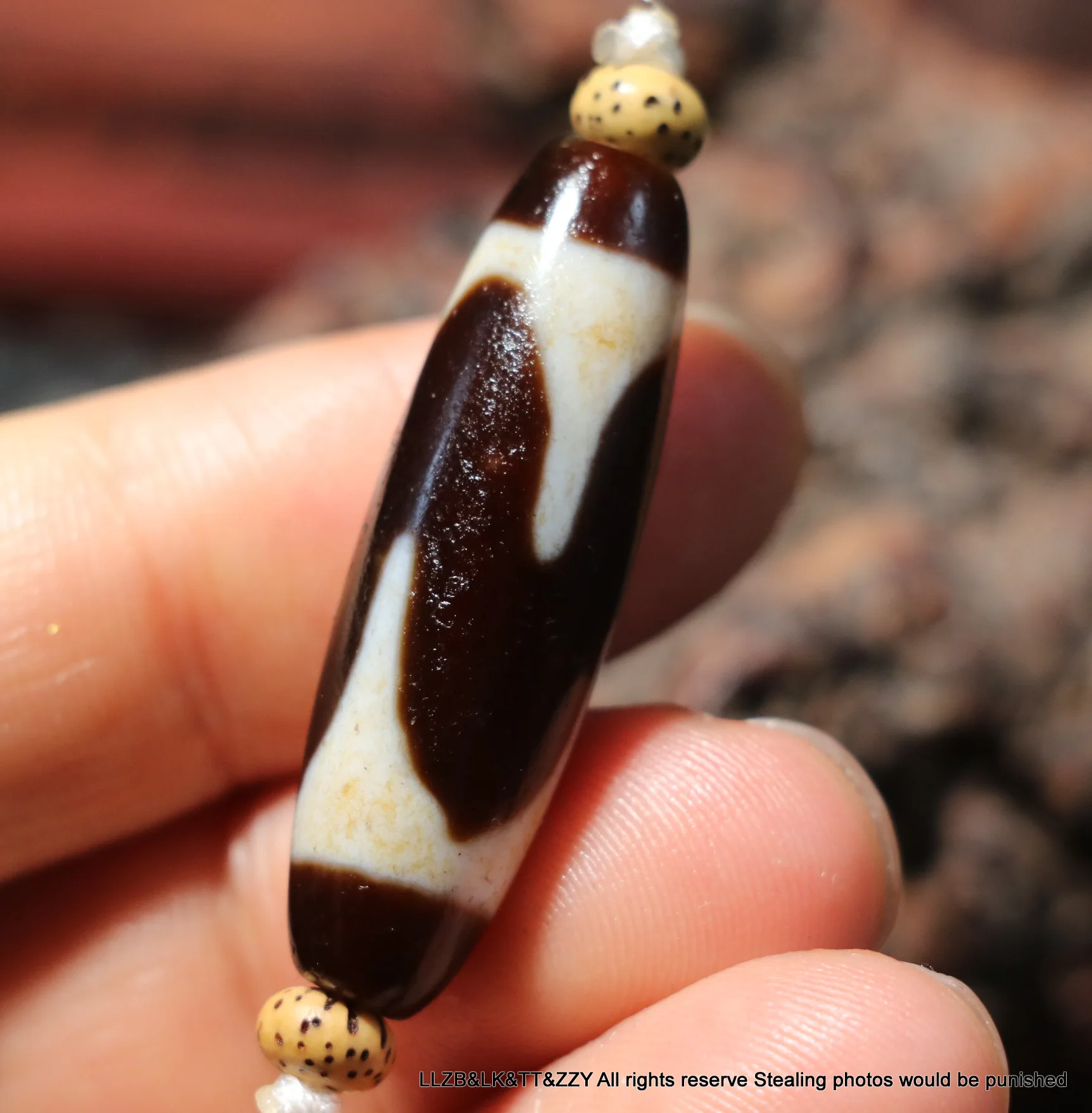 Magic Power Tibetan Old Agate Sharp Tiger Tooth totem dZi Bead Amulet Size Fit For Making Bracelet Precious Gem