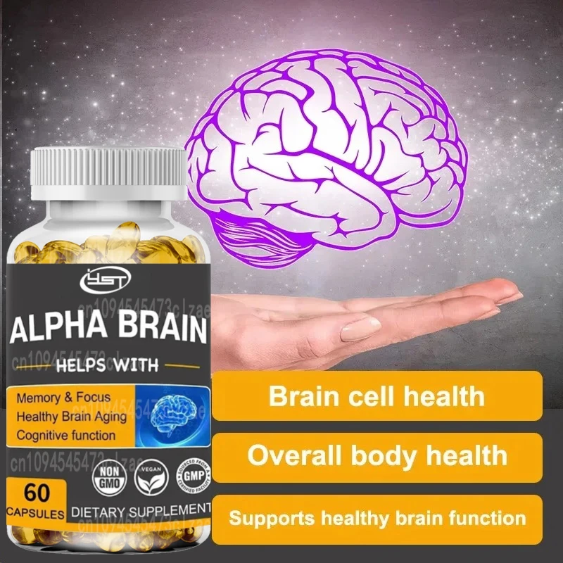Brain Nootropics Brain Supplement for Men and Women - Memory, Mental Clarity & Cognition with Vitamin B6, Capsules