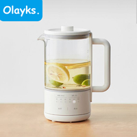 Olayks Electric Kettle Multi-Function Health Pot 0.6L Portable Household Teapot Stainless Steel Chassis Filter Insulated Kettle