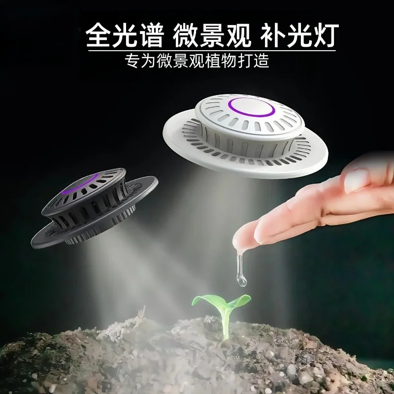 Full Spectrum Terrarium Grow Light – Sun-Simulating Plant Lamp for Moss and Glass Bottle Plant Displays