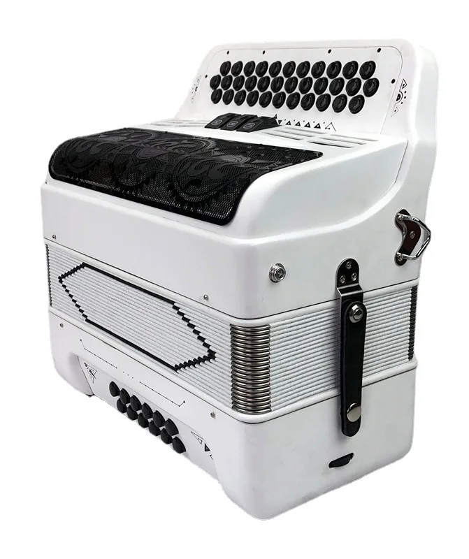 34-key 12-bass piano accordion with adjustable shoulder straps Giger bag instrument, suitable for children and beginners