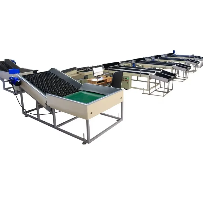 Tomato/Avocado/Orange Weight Sorting Machine and Weight Grading Machine