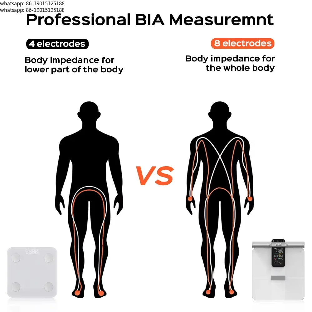 2025 New Offline Measurement Function Weight Scale Body Fat Analyzer Intelligent Body Composition Analyzer