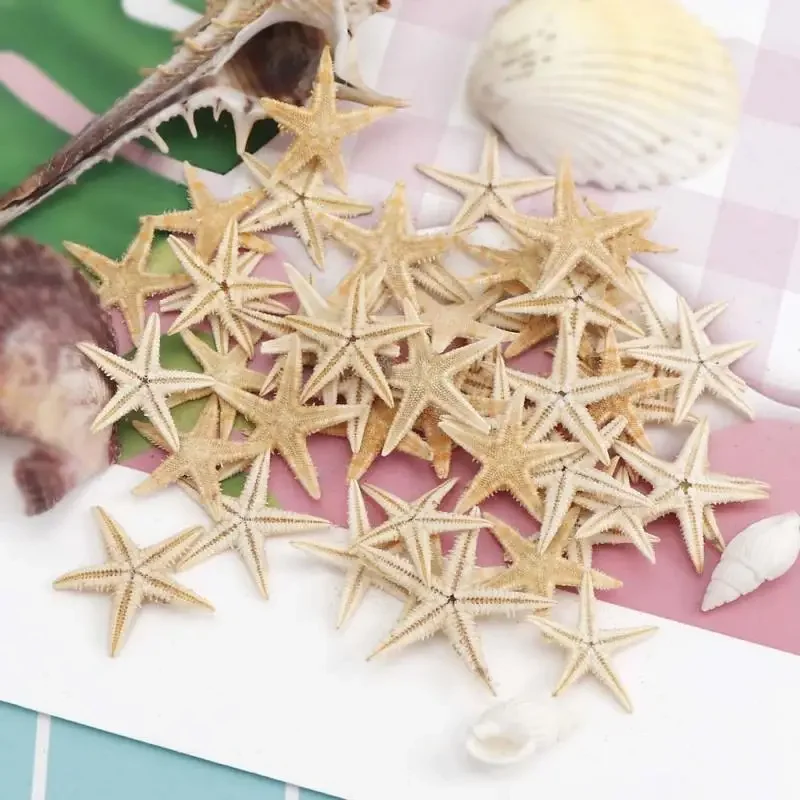 5/25/50 Uds Mini concha de estrella de mar decoración artesanal estrellas de mar DIY cabaña de playa decoración de boda conchas de mar fiesta concha