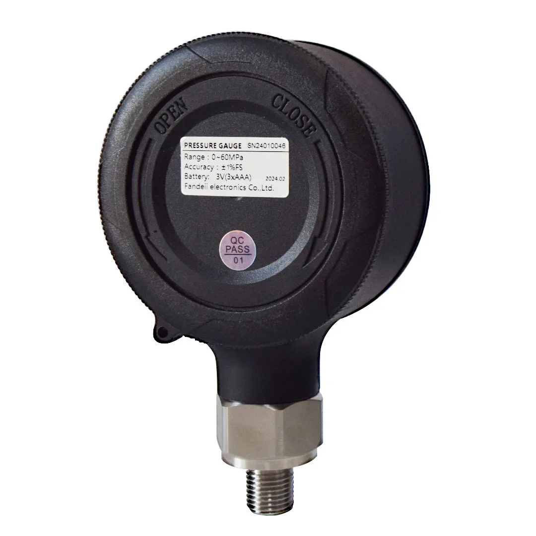 Fandesensor New Pressure Gauge for Hydraulic Water Air Oxygen Accuracy 1%FS Waterproof IP65 Diameter 80mm