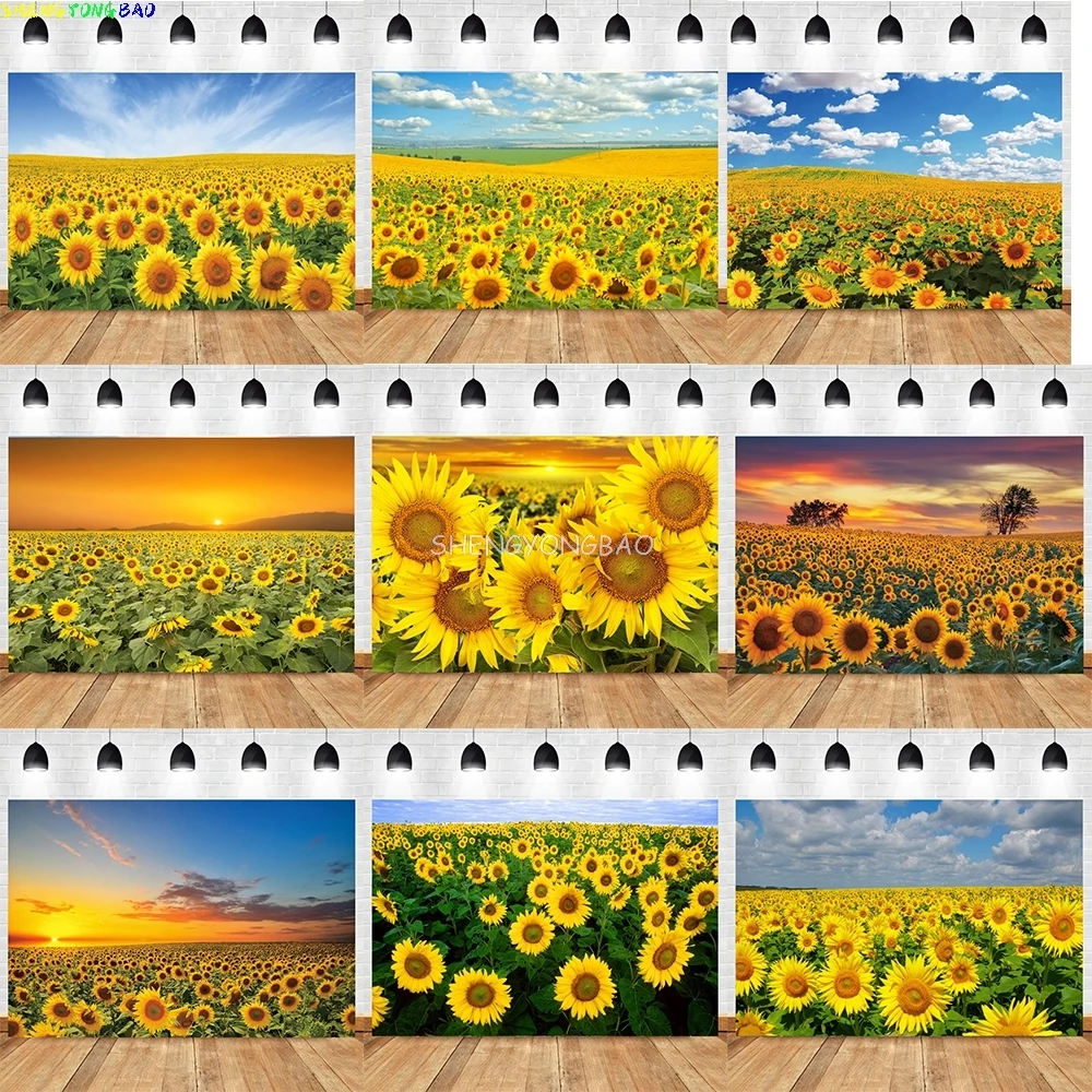 

Sunflower Blue sky Sunset Photography Backdrops Natual Landscape Scenery Newborn Model Portrait Photo Studio Background XRK-01