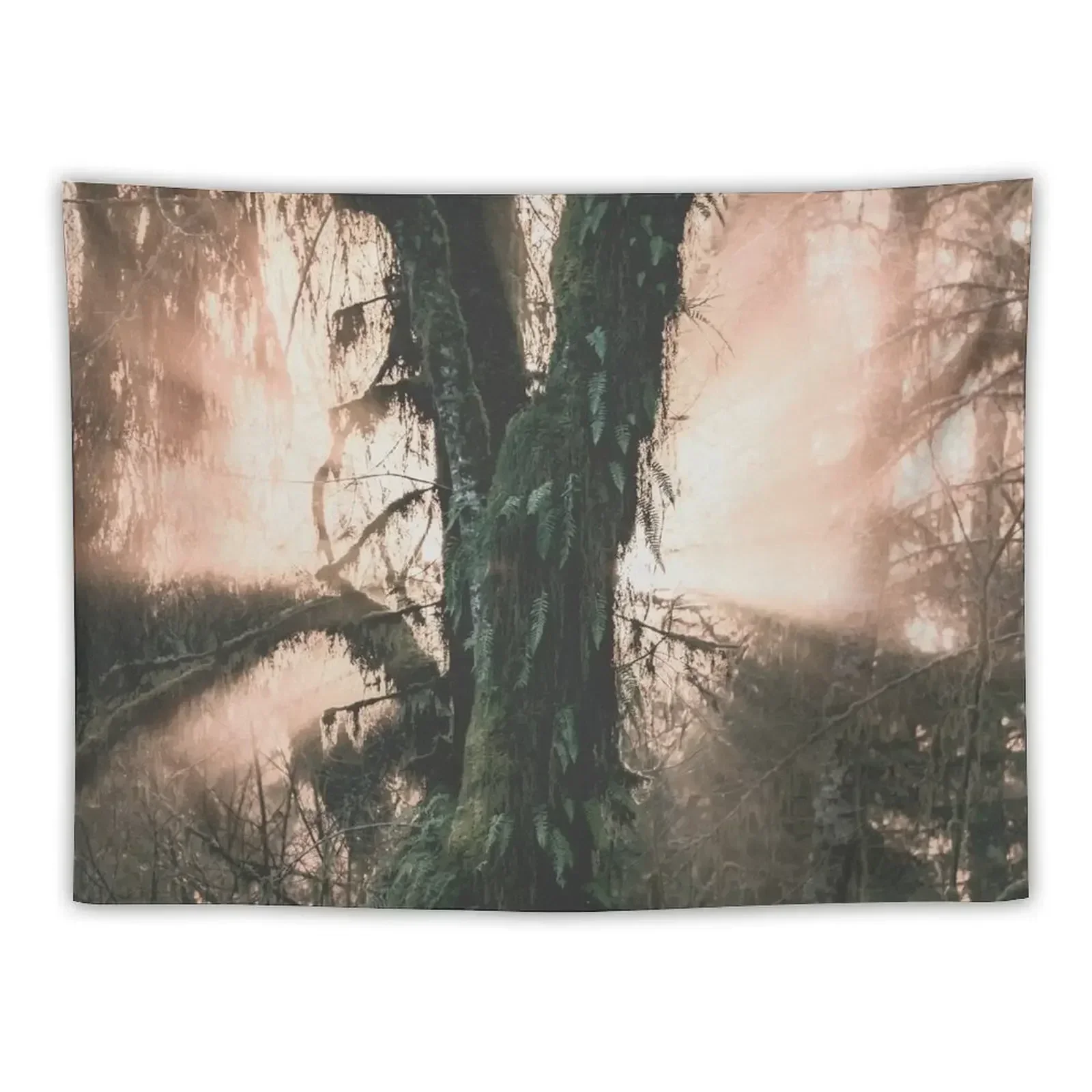 Hoh Rainforest Treasure Tapestry Decoration Pictures Room Wall Kawaii Room Decor Tapestry