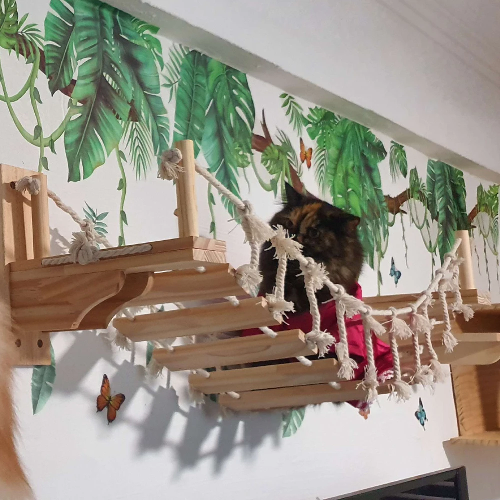 

Cat Wall Climbing Wood Bridge and Scratching Post Cat Hammock with Stairway Ladder Jumping Platform for Kittens Playing and Rest