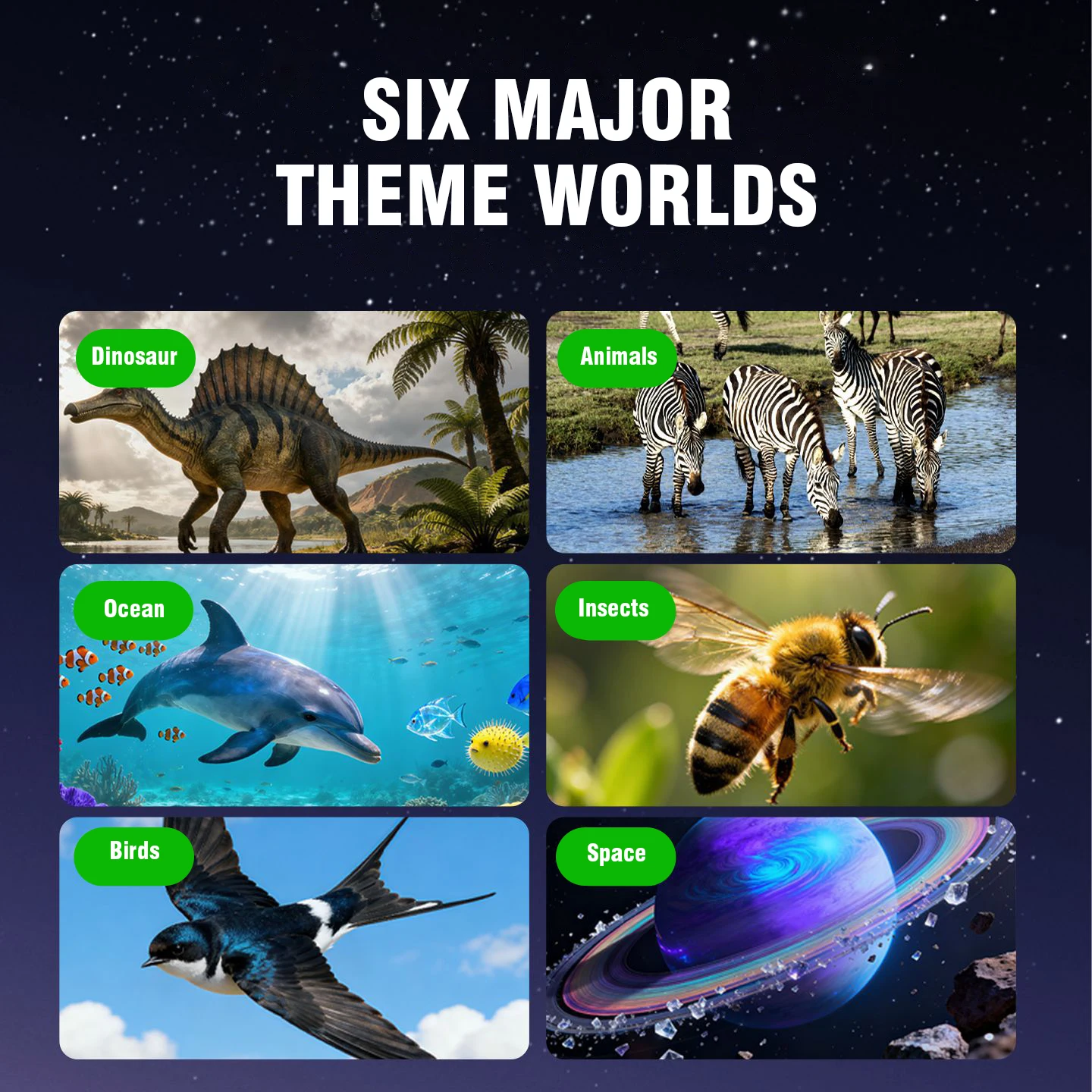 Visore 3D Stereoscopico con 6  - Kids Education Reels recensione e prezzo