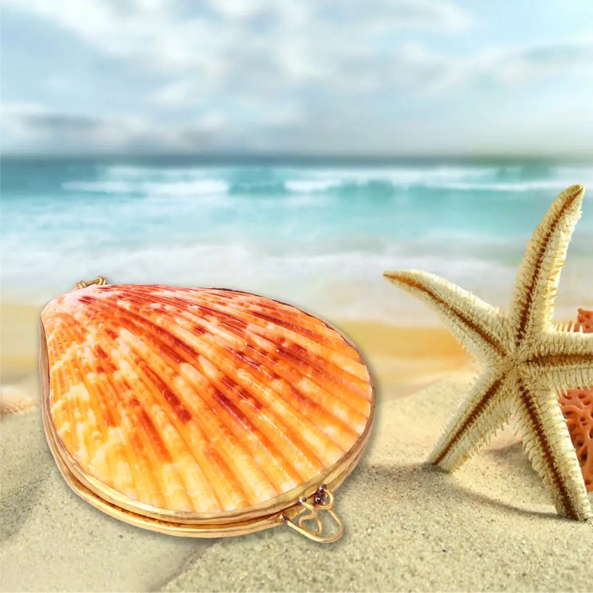 6cm Shell Jewelry Box Ringbox Shell Showcase Schmuck Etuis Schmuckschale Mit Deckel Man Schmuckbox