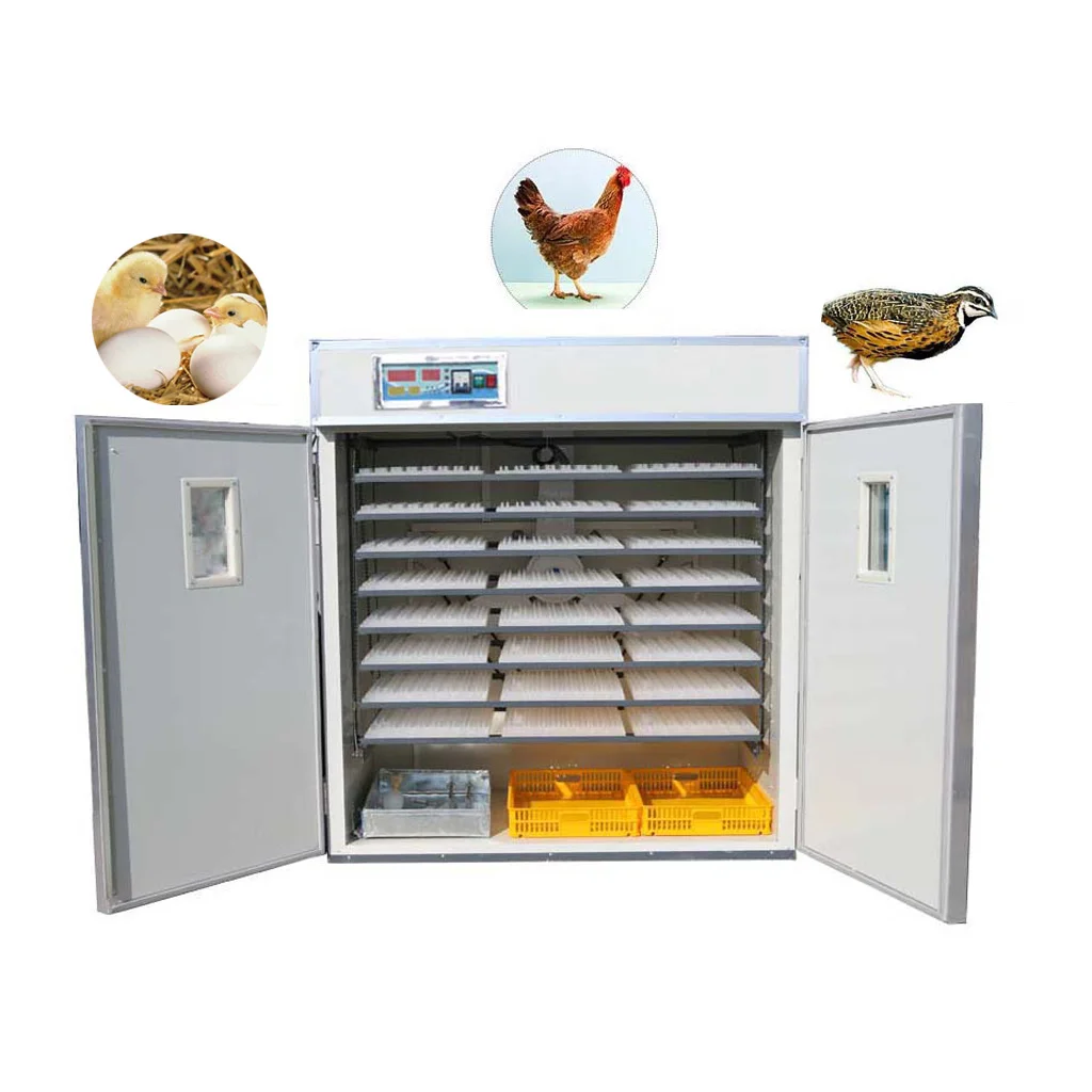 

Industrial Egg Incubator with the Most Complete Series Hatching Rate Chicken Egg Incubator for Sale Philippines