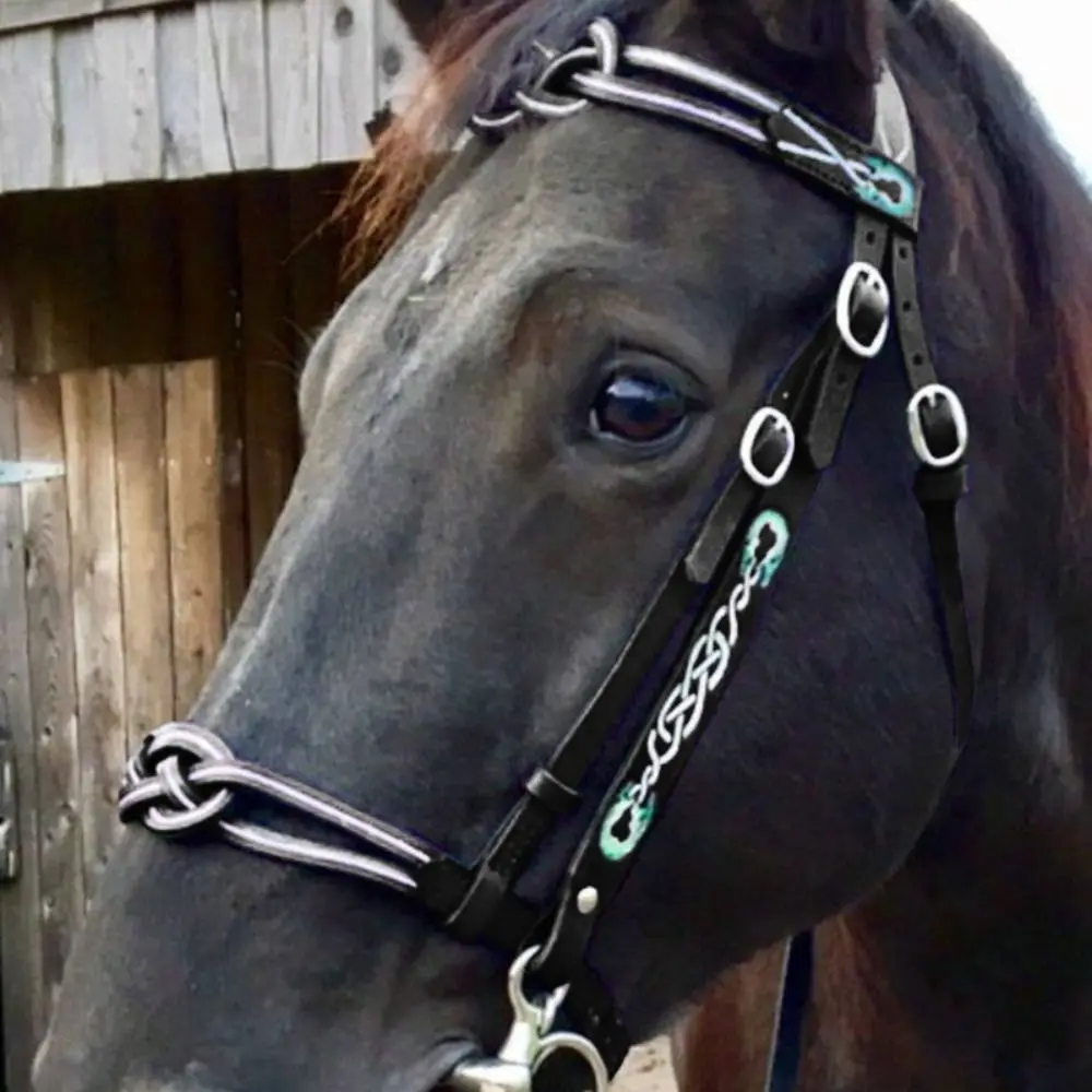 PU Leather Horses Bridle Halters Metal Buckle Protecting Horse Skin Horse Rein Harness Wygodna, trwała zasłona głowy konia