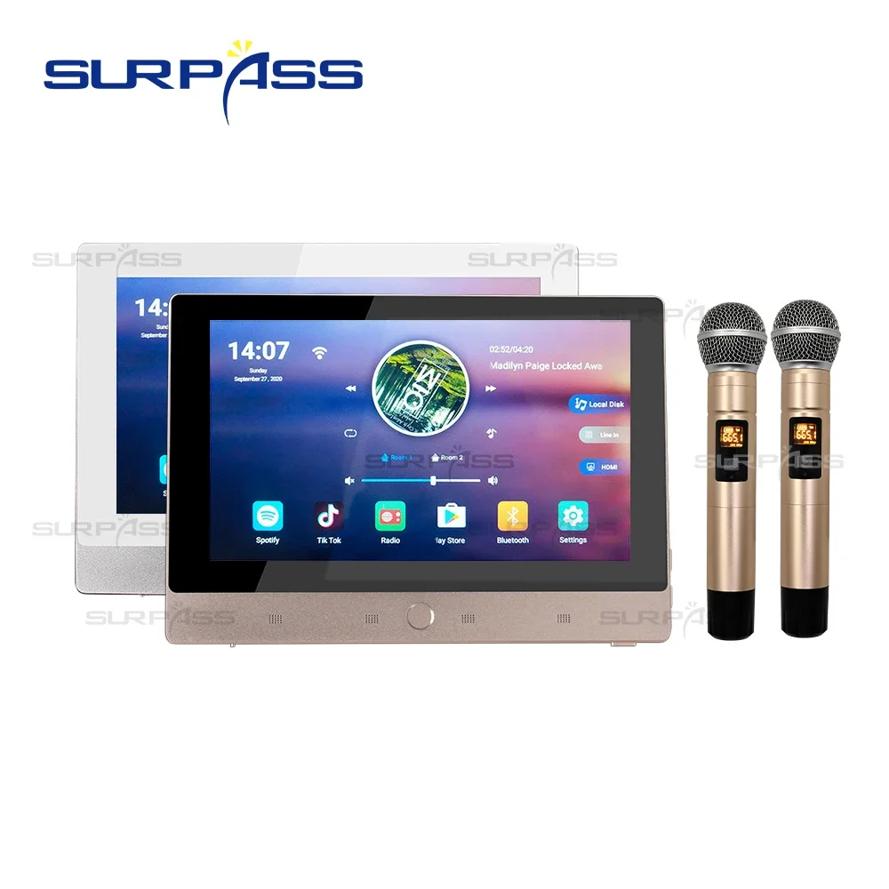 Surpass Smart Home Amplificador Bluetooth Sistema de música de fondo inteligente mediante amplificador de pared