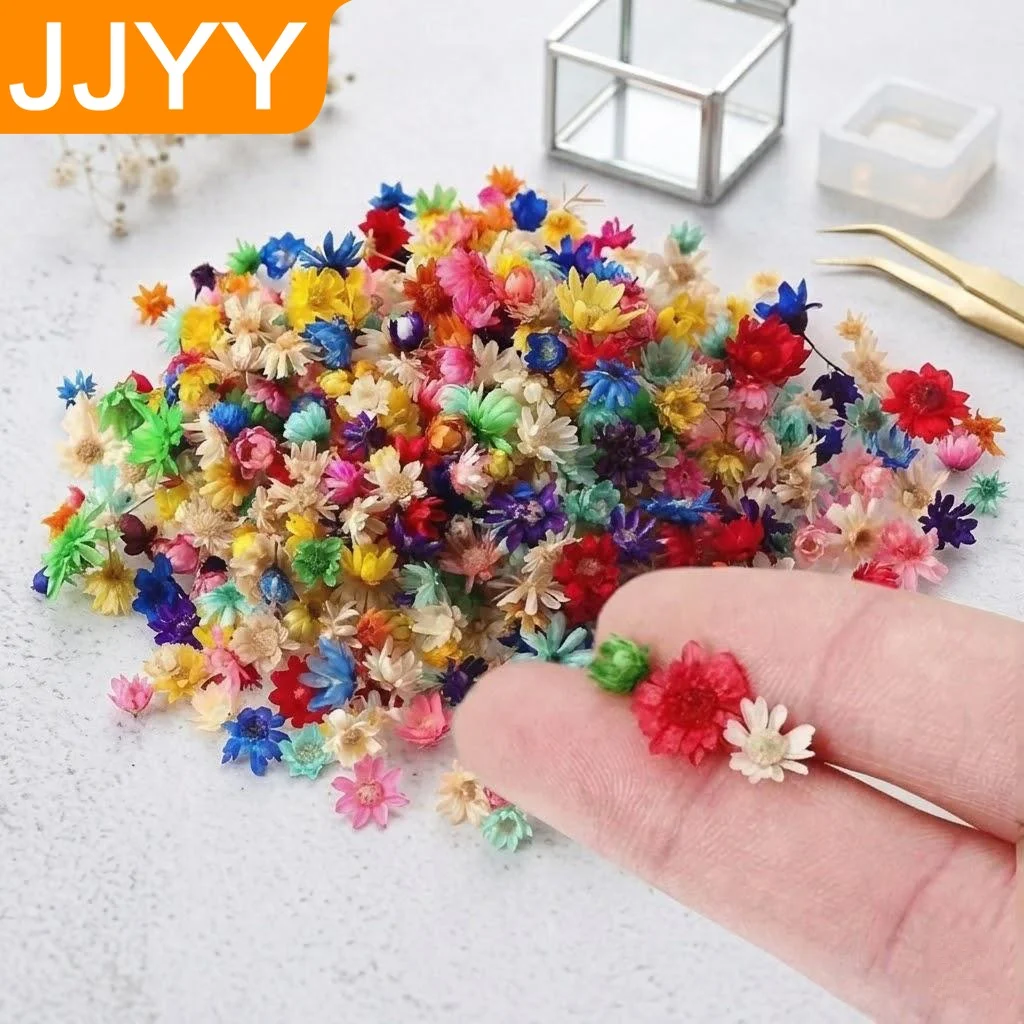 Mini Flores Secas Coloridas, 100 Piezas, Manualidades DIY, Resina Epoxi, Fabricación de Velas, Joyería, Decoración para el Hogar y Fiestas