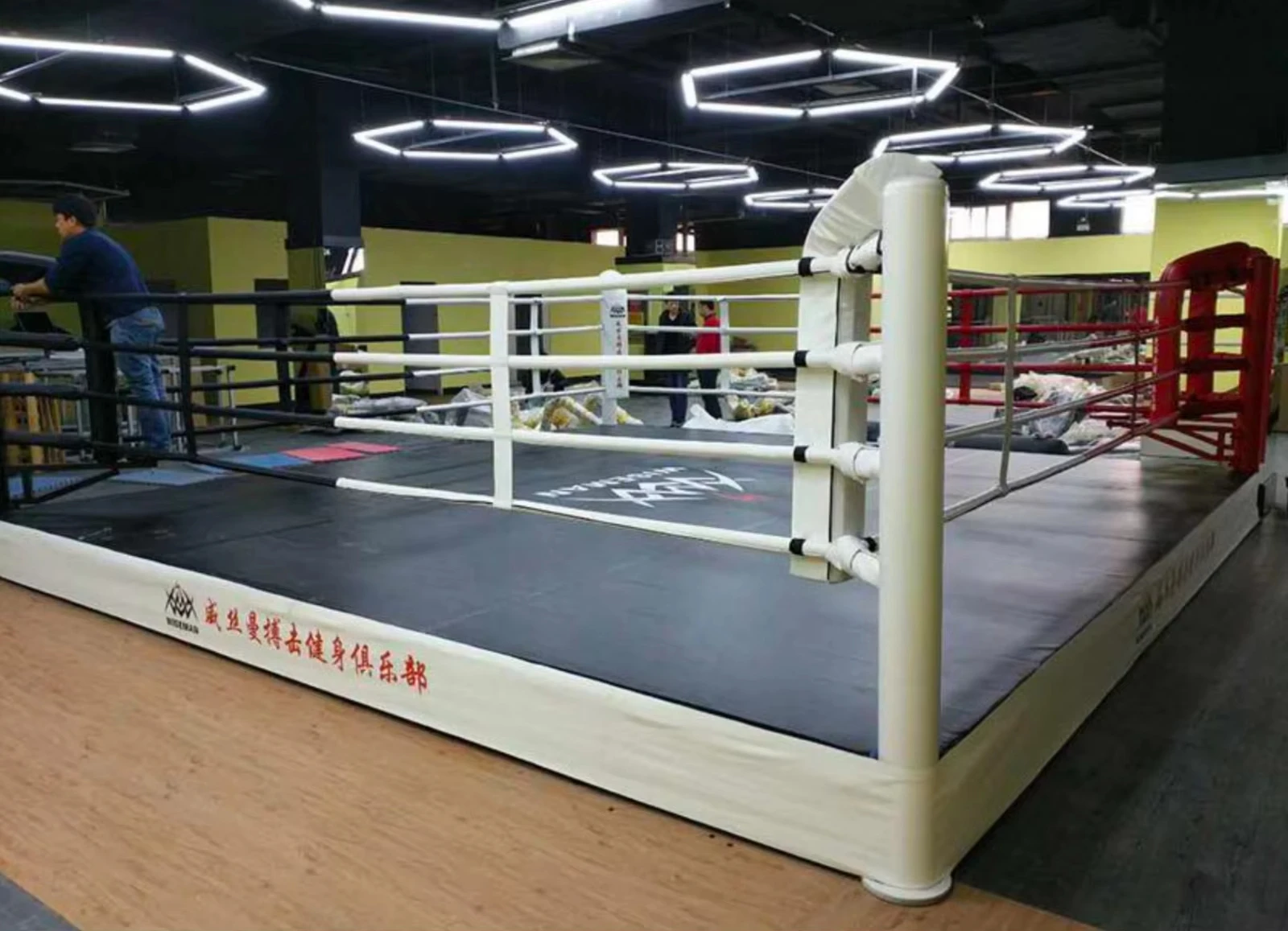 Internation Ibf Standard Competition Training Mma Cage Octagon Fight Ring Boxing Ring Export