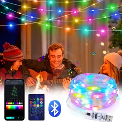 RGB LED String Light Smart Bluetooth USB Music LED Fairy Lights WS2812B for Christmas Birthday Party Garland Decor Fairy Lights