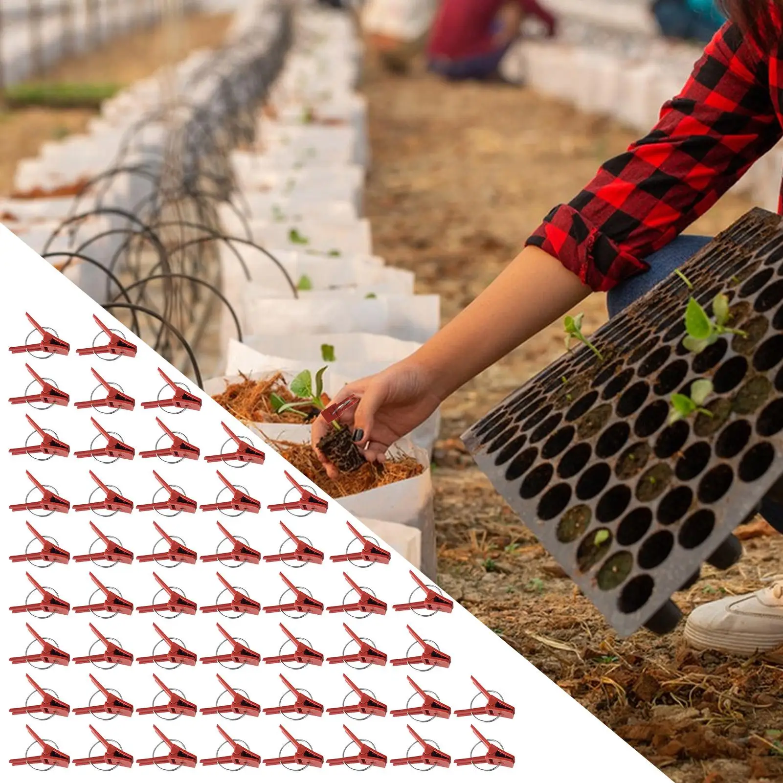 Plant Grafting Clips Pack Of 50 Plant Fixing Clamp Falt Mouth Climbing Supports Connects For Vegetable Vine Gardening Connector