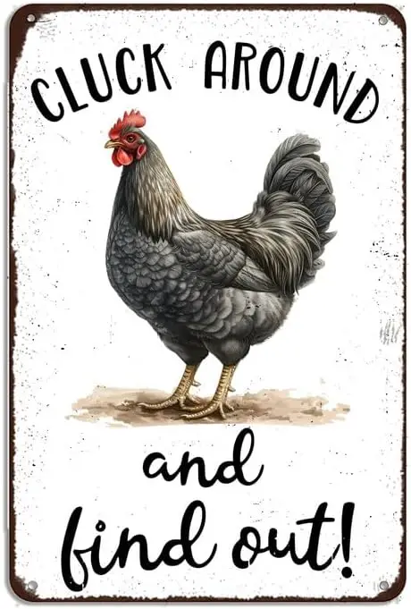 Cluck Around and Find out Chicken Tin Sign for Coop Home Yard Indoor Outdoor Chickens Plaque Wall Decor Art , BNJ-H14