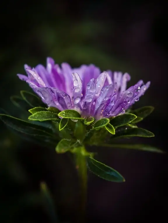 JX Servo PS-4806HB 6KG Servo padrão de alto torque para modelos RC peças de controle remoto acessórios