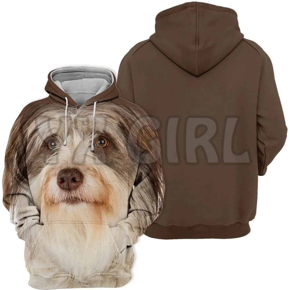 Animals Dogs Bearded Collie Dog Looking Up   3D Printed Hoodies  Unisex Pullovers Funny Dog Hoodie Casual Street Tracksuit