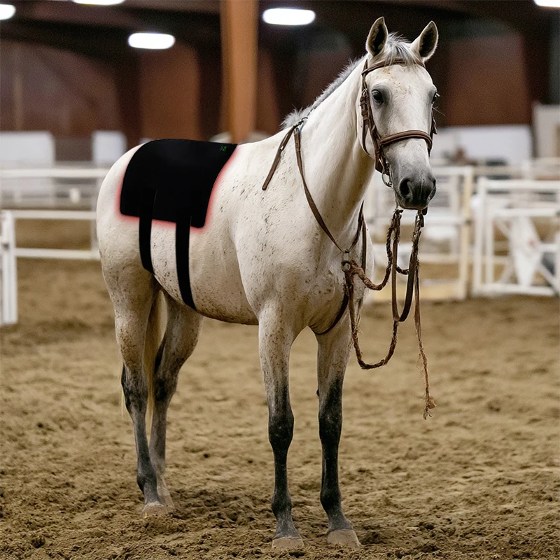 Horses Near Infrared Red Light Therapy Pad 660mm 850mm Red Therapy Device
