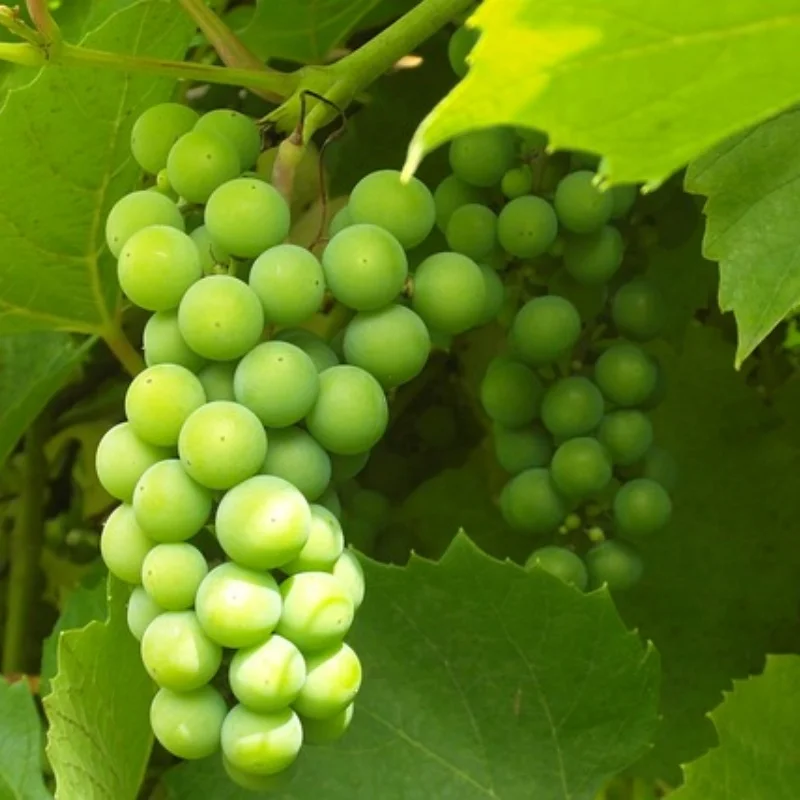 

1/10 колеса для гоночных автомобилей на радиоуправлении, раллийные шины и дорожные шины с шестигранной головкой 12 мм для Tamiya XV01 XV02 TA06 TT01 TT02 PTG2 144001 A959 HPI