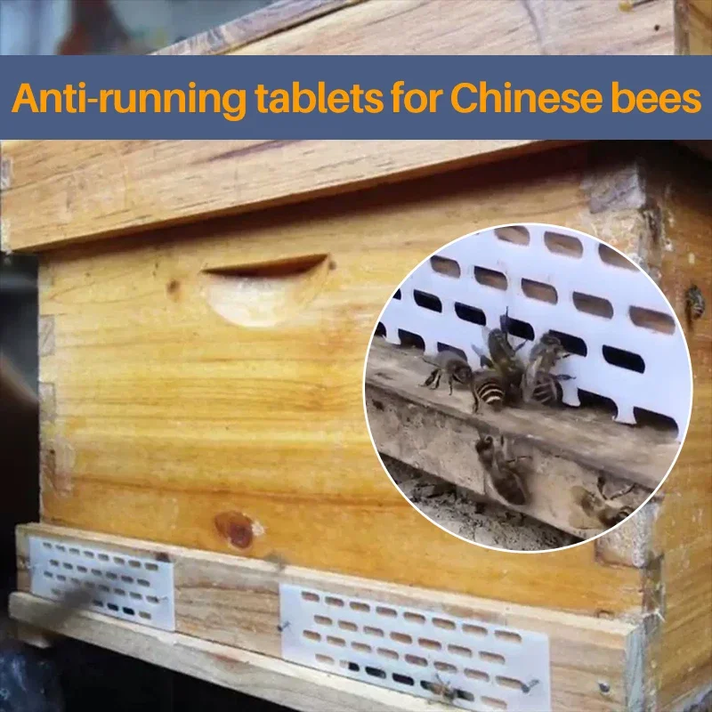 20pcs Bees Tool Plastic Anti Escape Fly Anti-Run Sheet  Spacer Frame Beehive Pieces Holes Spacer Beekeeping Nest Door Plate