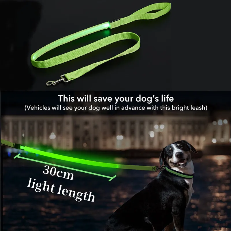 Glowing Led Dog Leash Usb Rechargeable Pet Dog Flashing Nylon Webbing Leashes- 3 Lighting Modes Keep Your Pets Safe In Darkness