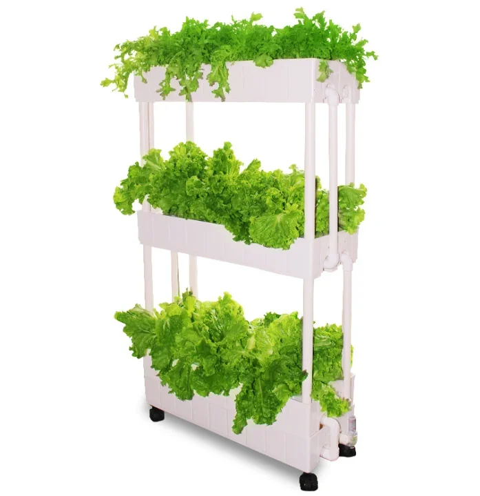 Customization Agriculture hydroponic grow rack vertical indoor farming for planting lettuce