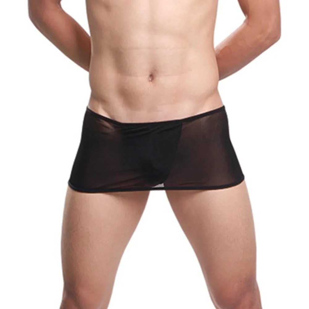 

Lingerie Men Underwear Sexy Stretchy Transparent Ultra-Thin Breathable Comfort Comfortable Pants Seductive All Seasons