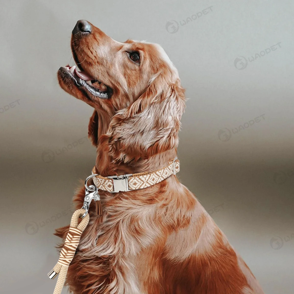 Haustierhalsbänder im böhmischen Ethno-Stil für kleine, mittelgroße und große Hunde. Mehrfarbig. Wählen Sie verstellbare, luxuriöse Trend-Neuheiten – Detail 13