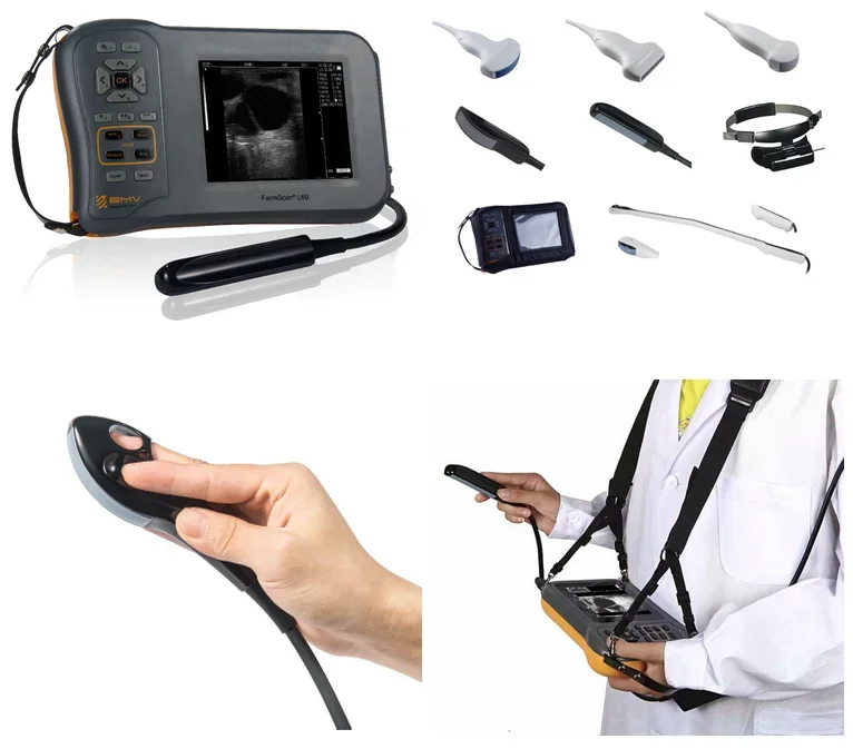 Cheap Ultrasound For Cows Handheld Veterinary Ultrasound Equipments L60