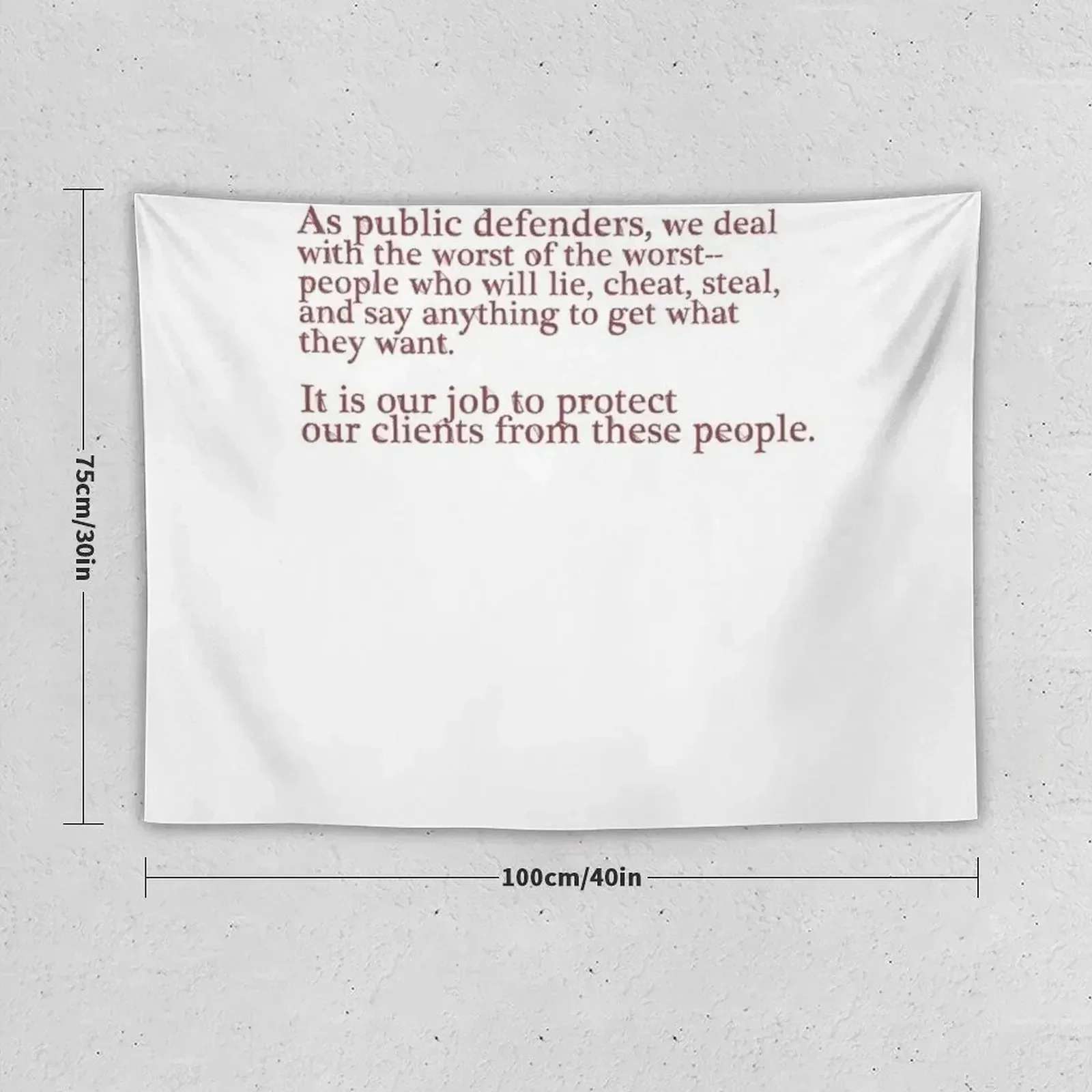 Public Defenders Know Tapestry Outdoor Decor Room Decorations Aesthetic Tapestry