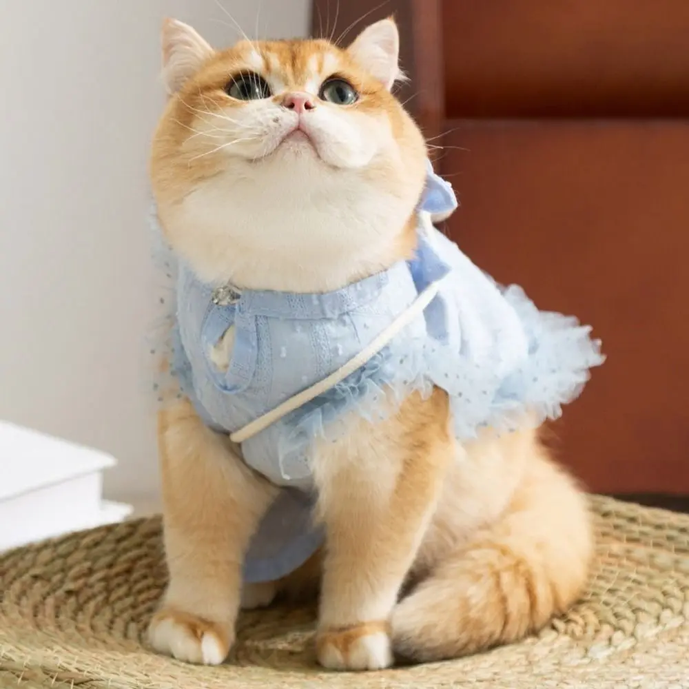 

Thin Pet Lace Dress Comfortable with Bag and Hair Clip Dog Two Leg Clothes Breathable Dog Cooling Vest for Spring Summer