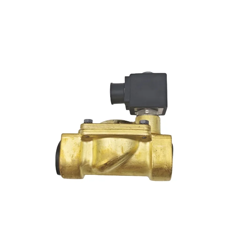 443786W G1 inch coil 483510S6 AC220 new original two-way solenoid valve water valve kingpin pneumatic components