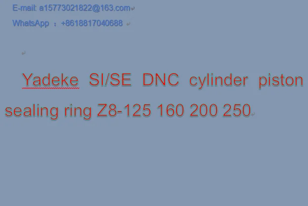 Yadeke SI/SE DNC cylinder piston sealing ring Z8-125 160 200 250