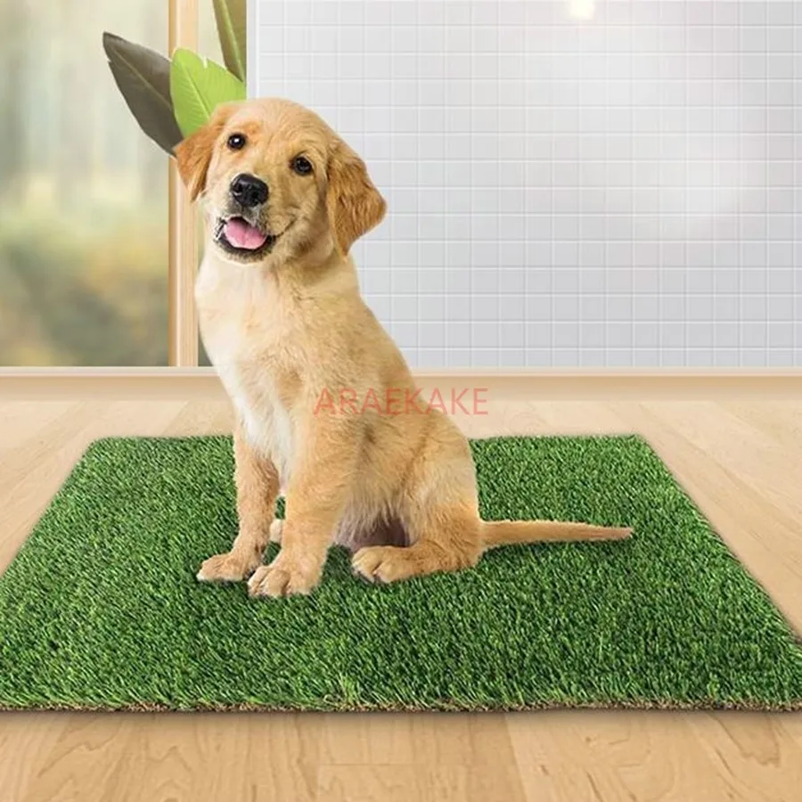 1 ΡΡ., Π΄Π²ΠΎΡ, Π±Π°Π»ΠΊΠΎΠ½, ΡΡΠ°ΡΠΈΠ²Π°Π½ΠΈΠ΅ Π³Π°Π·ΠΎΠ½Π°, ΠΏΠΎΠ», ΠΈΡΠΊΡΡΡΡΠ²Π΅Π½Π½Π°Ρ ΠΈΠΌΠΈΡΠ°ΡΠΈΡ, ΡΠ»ΠΈΡΠ½Π°Ρ ΡΠ΅ΡΡΠ°ΡΠ°, Π³Π°Π·ΠΎΠ½Π½ΡΠΉ ΠΊΠΎΠ²ΡΠΈΠΊ, ΠΈΡΠΊΡΡΡΡΠ²Π΅Π½Π½Π°Ρ ΠΈΡΠΊΡΡΡΡΠ²Π΅Π½Π½Π°Ρ ΡΡΠ°Π²Π° 1 ΡΡ., Π΄Π²ΠΎΡ, Π±Π°Π»ΠΊΠΎΠ½, ΡΡΠ°ΡΠΈΠ²Π°Π½ΠΈΠ΅ Π³Π°Π·ΠΎΠ½Π°, ΠΏΠΎΠ», ΠΈΡΠΊΡΡΡΡΠ²Π΅Π½Π½Π°Ρ ΠΈΠΌΠΈΡΠ°ΡΠΈΡ, ΡΠ»ΠΈΡΠ½Π°Ρ ΡΠ΅ΡΡΠ°ΡΠ°, Π³Π°Π·ΠΎΠ½Π½ΡΠΉ ΠΊΠΎΠ²ΡΠΈΠΊ, ΠΈΡΠΊΡΡΡΡΠ²Π΅Π½Π½Π°Ρ ΠΈΡΠΊΡΡΡΡΠ²Π΅Π½Π½Π°Ρ ΡΡΠ°Π²Π°