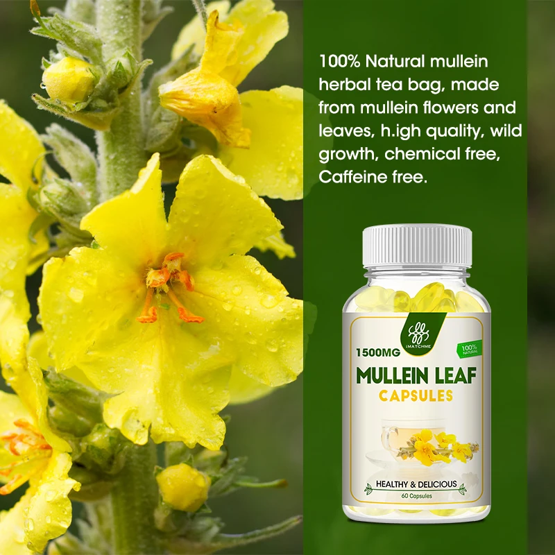 Organic Mullein Leaf Herb Supplement for Lungs Cleanse - Pure Mullein Extract - Respiratory Health, No Gmos - No Fillers