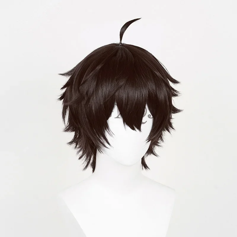 30 cm Dan Heng Parrucche Gioco Honkai: Star Rail Cosplay Nero Marrone Dan Heng Parrucca Cosplay Capelli resistenti al calore Uomini Parrucche Anime + Protezione della parrucca