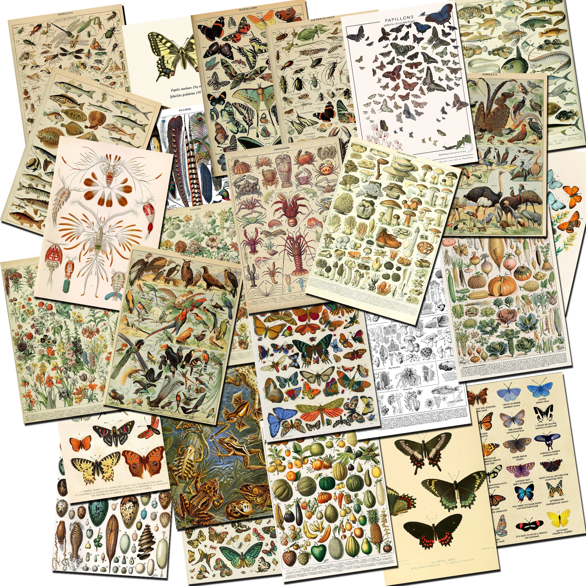 35pcs/pack Vintage Adolphe Millot Encyclopedia Sticker Butterfly Mushrooms Herbs Flowers Insect Classic Wall Stickers