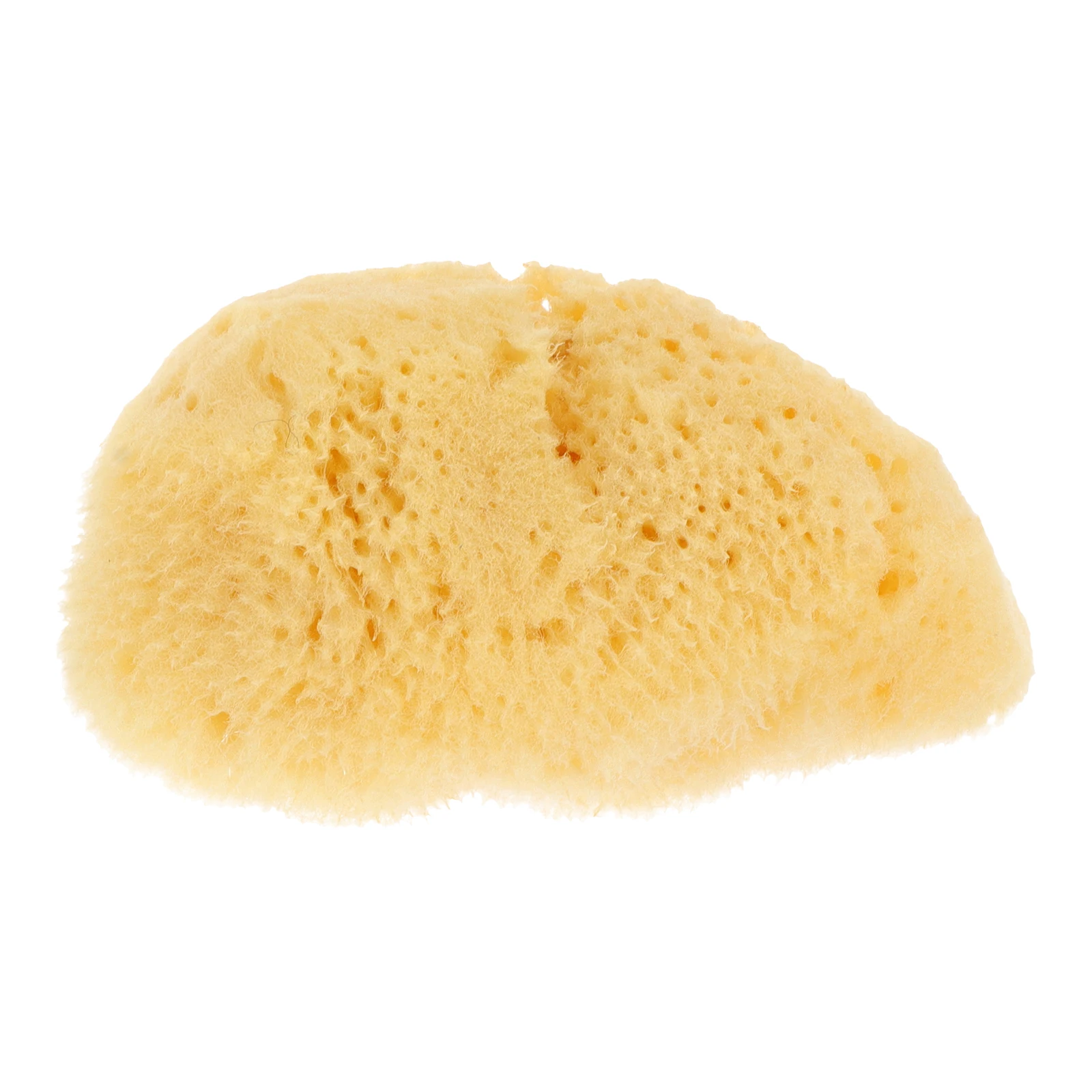 

Watercolor Sponge Tools 20-25mm Random Shape Natural Sponges Kids Painting Supplies Reusable Water Absorbent