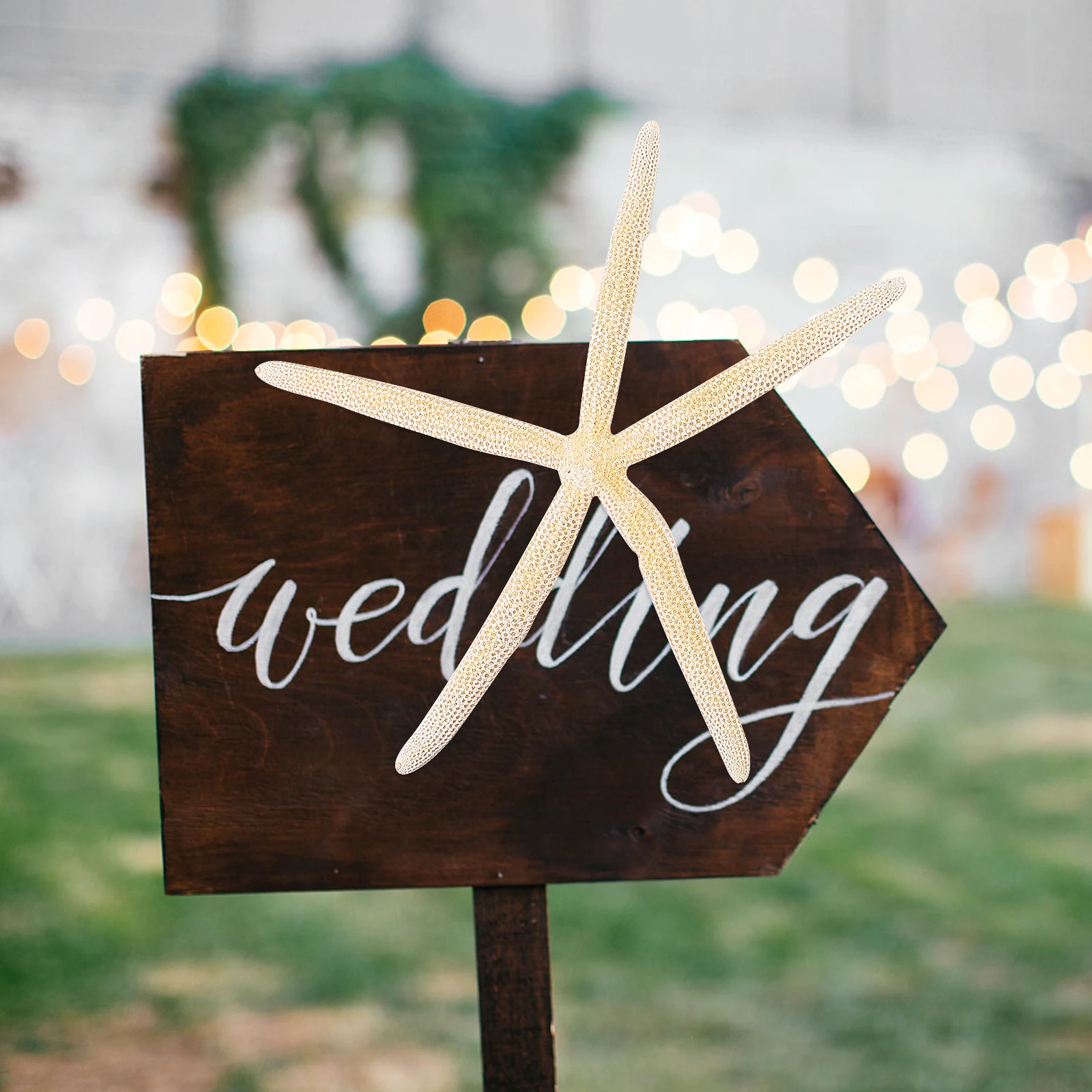 

2 Pcs Decoration Beach Party Favors Wedding Sea Stars Decorate Seashell Crafts Natural Decorative