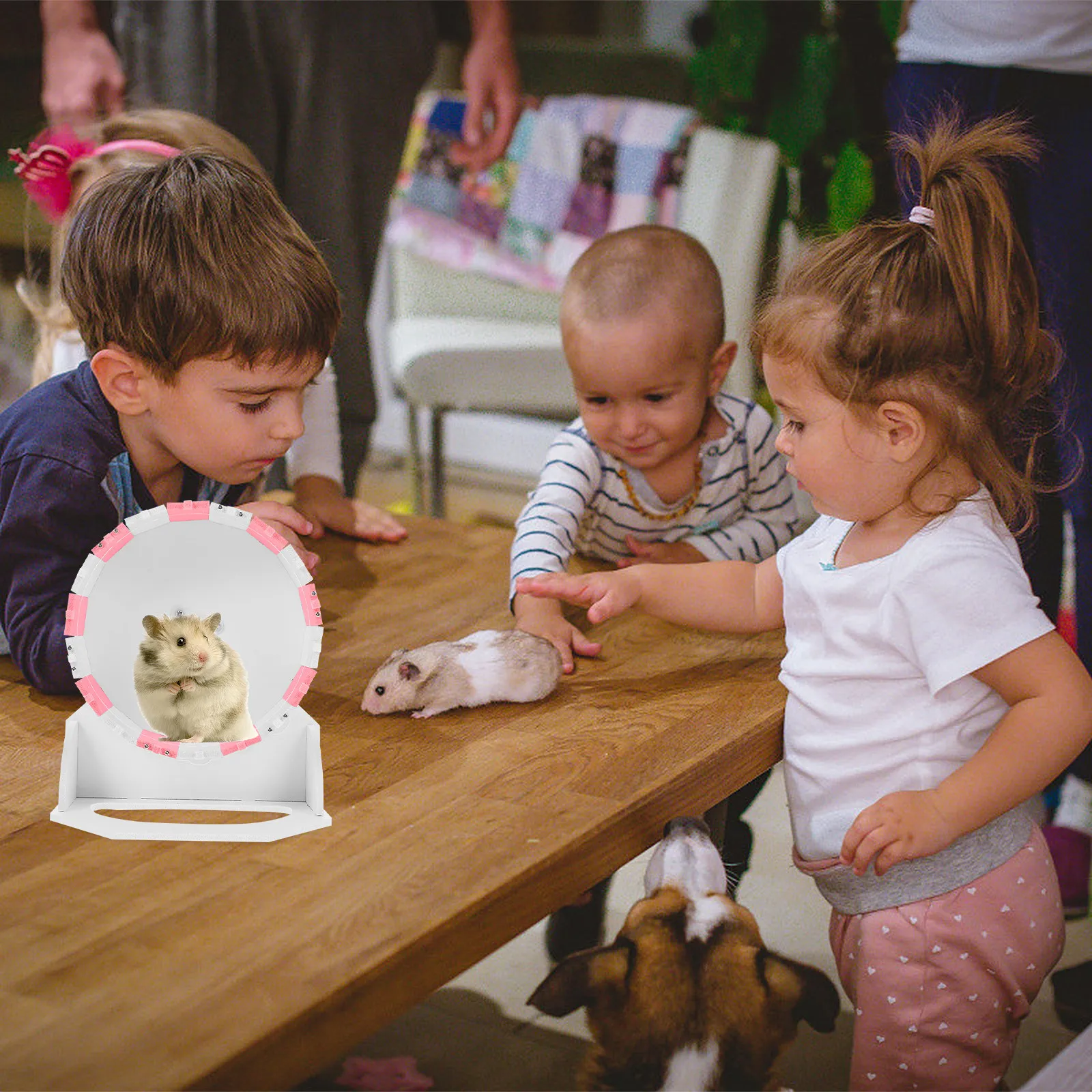 

Комплект из 1 колеса для бега для хомяков, мелких животных, хомяков-сахарных мышей, крыс, ежей, инструмент для тренировки активности