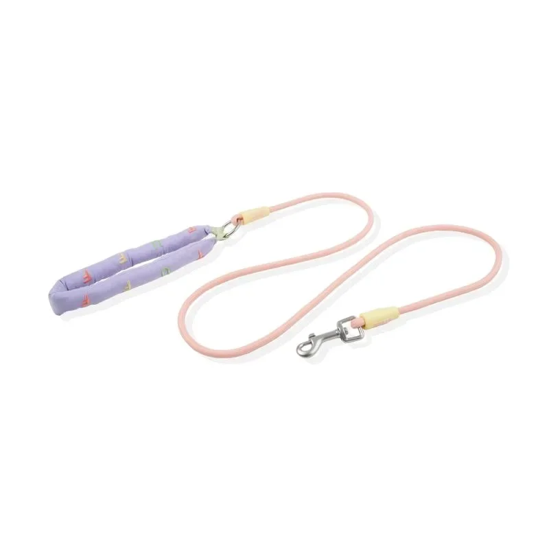 Rainbow Leash  Big Dog Out Leash Cute Pet Dog Chain High Value Walking